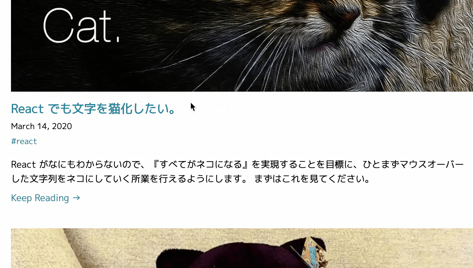 見本